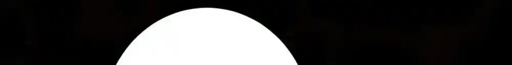 The Queen is Busy Chapter 197