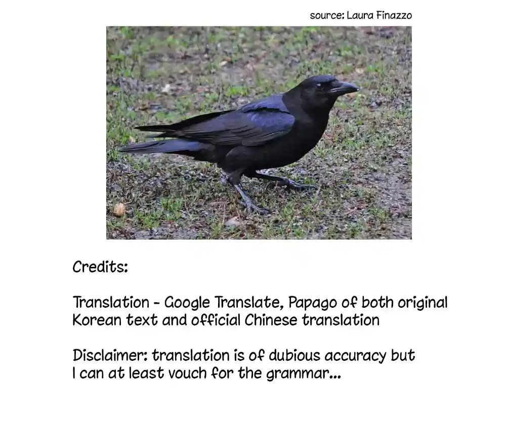 The Raven Duchess Chapter 17