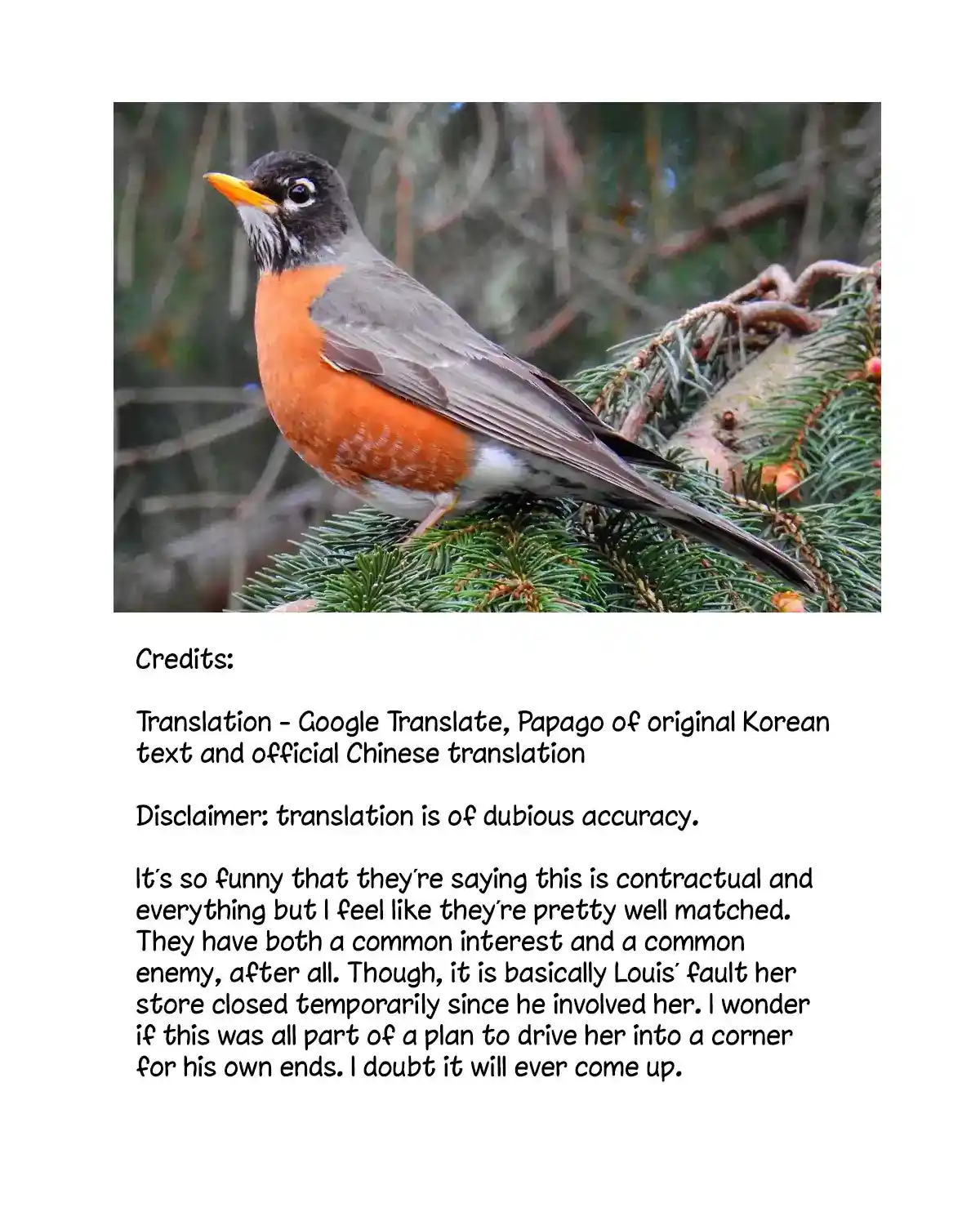 The Raven Duchess Chapter 20