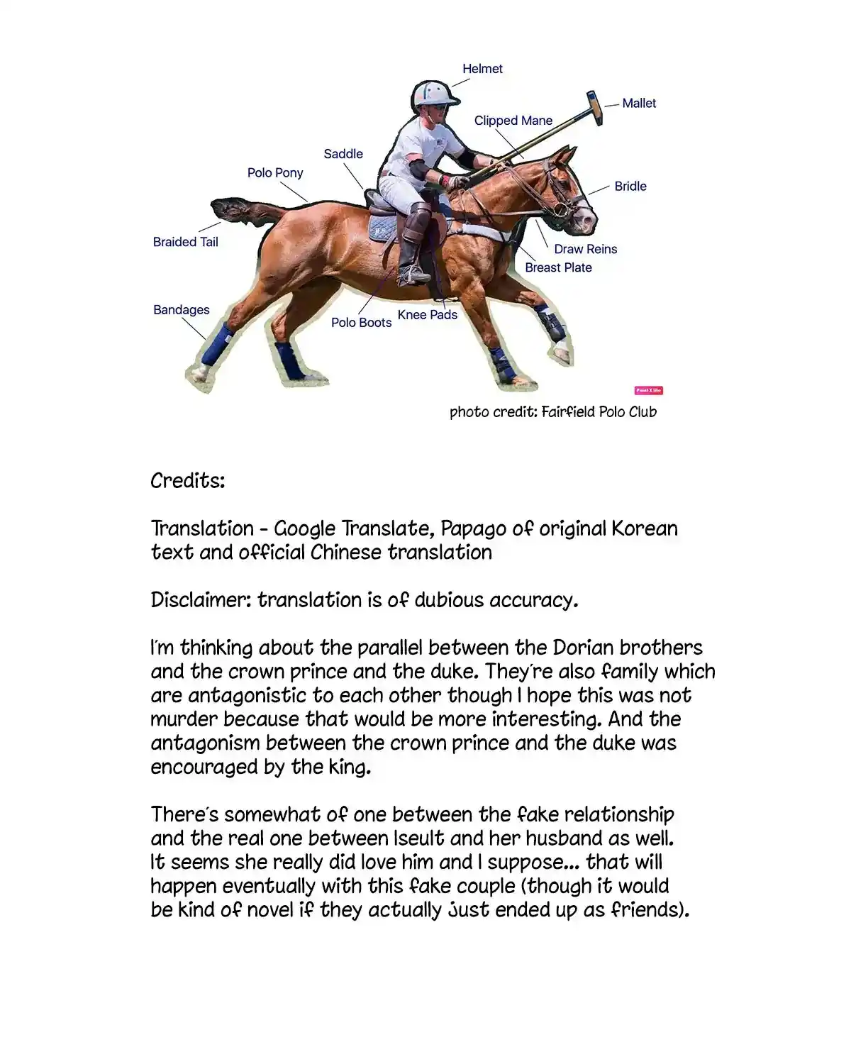 The Raven Duchess Chapter 24