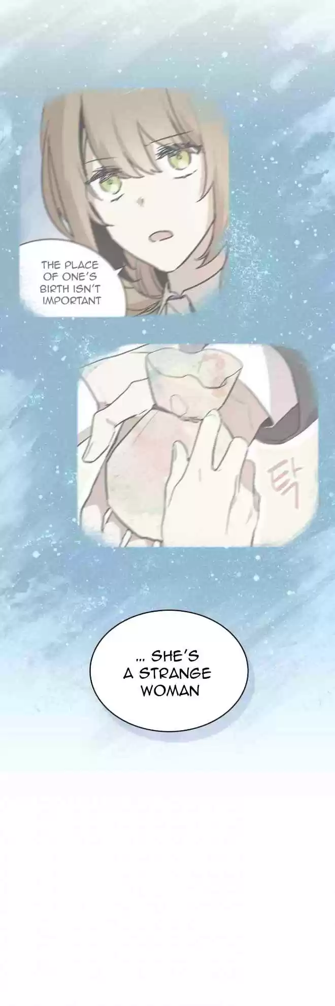 The Reason Why Raeliana Ended up at the Duke's Mansion Ch. 11