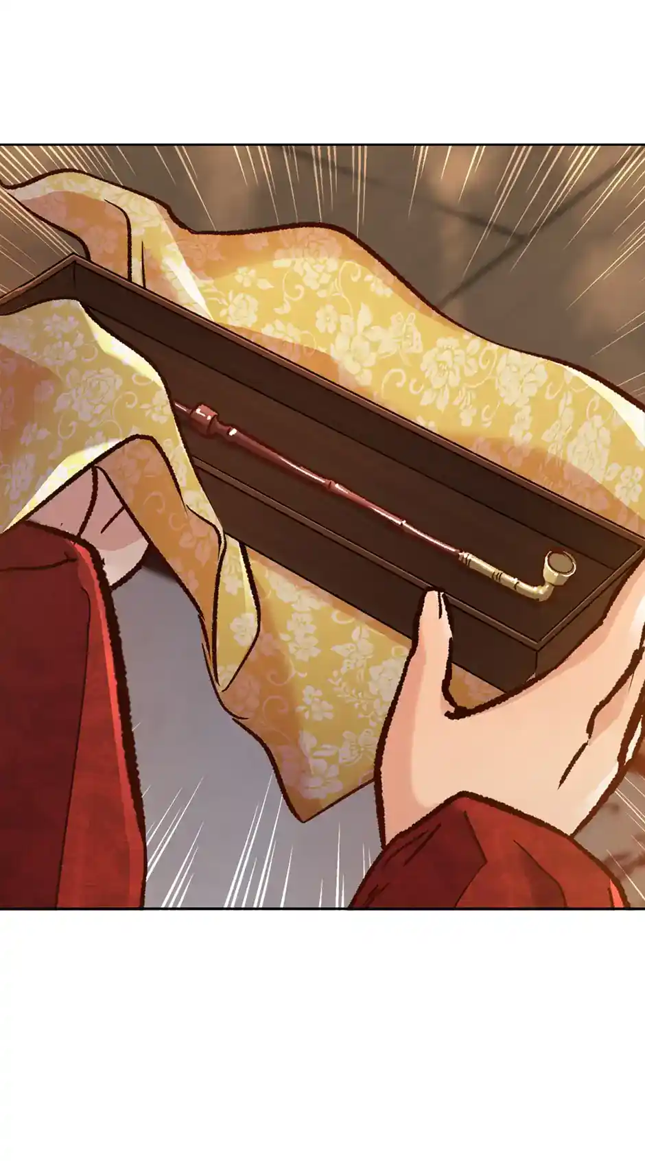 The Red Sleeve Chapter 51