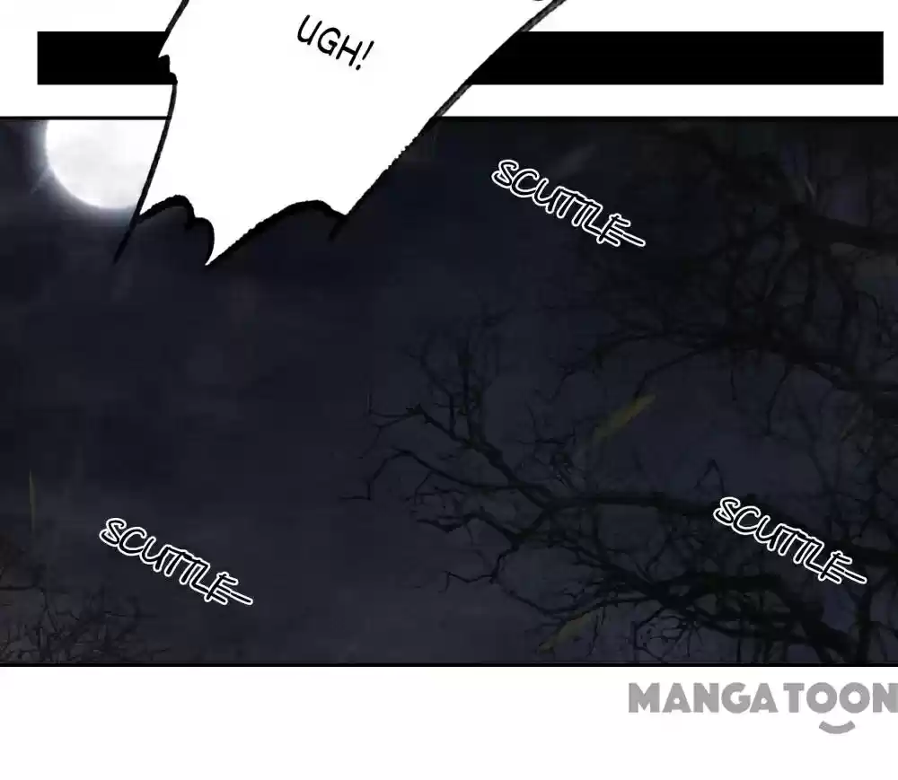 The Regent King Is Too Ferocious Chapter 41