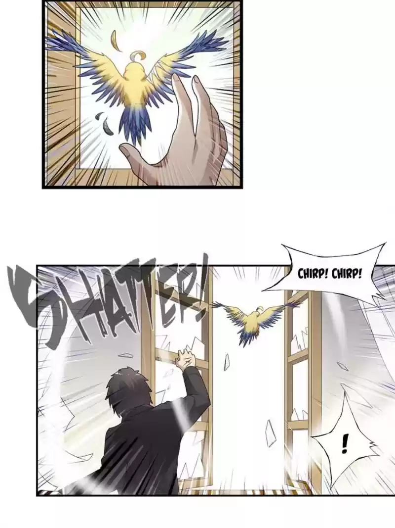 The Reincarnated Weapon Shop Owner Chapter 147