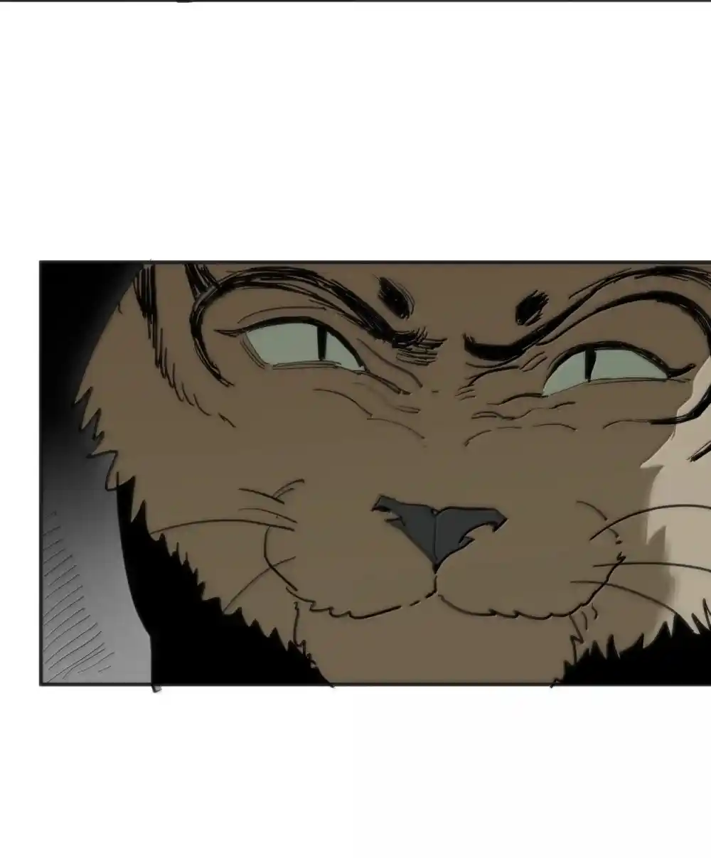 The saintes has a showdown Chapter 348