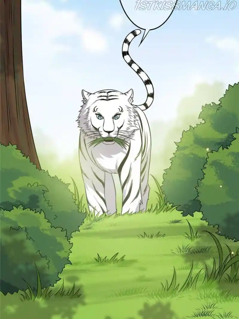 The Sickly Tyrant With An Innocent Facade Chapter 67