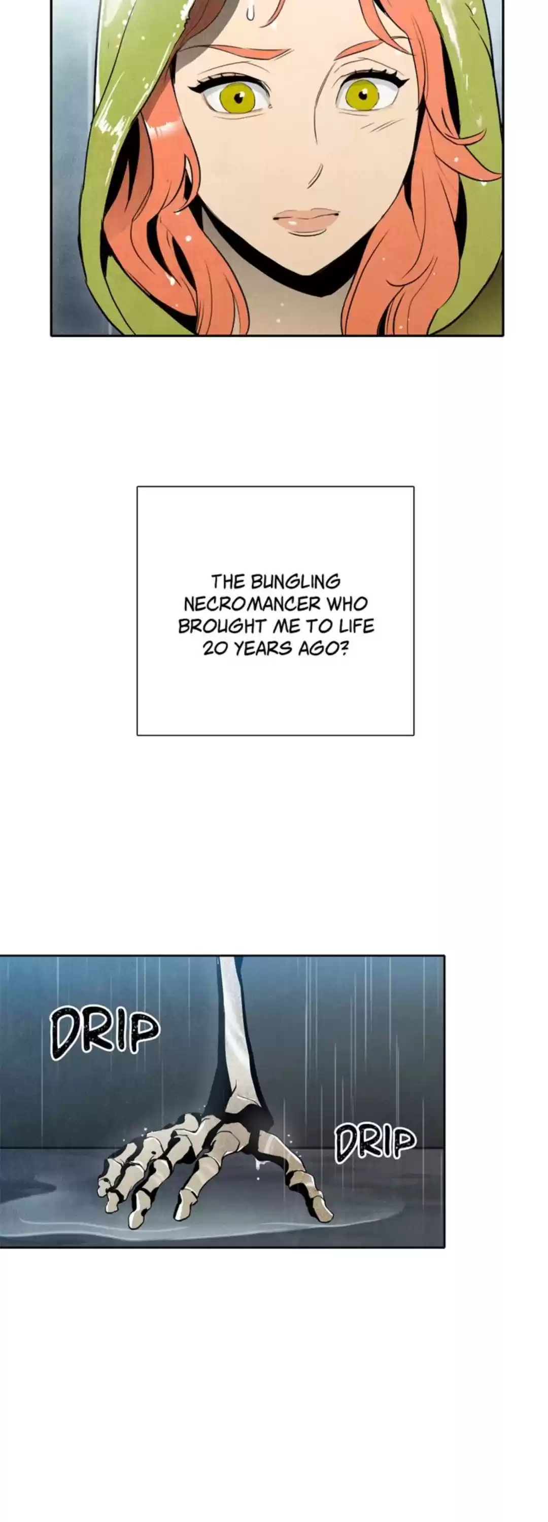 The Skeleton Soldier Failed To Defend The Dungeon Chapter 1