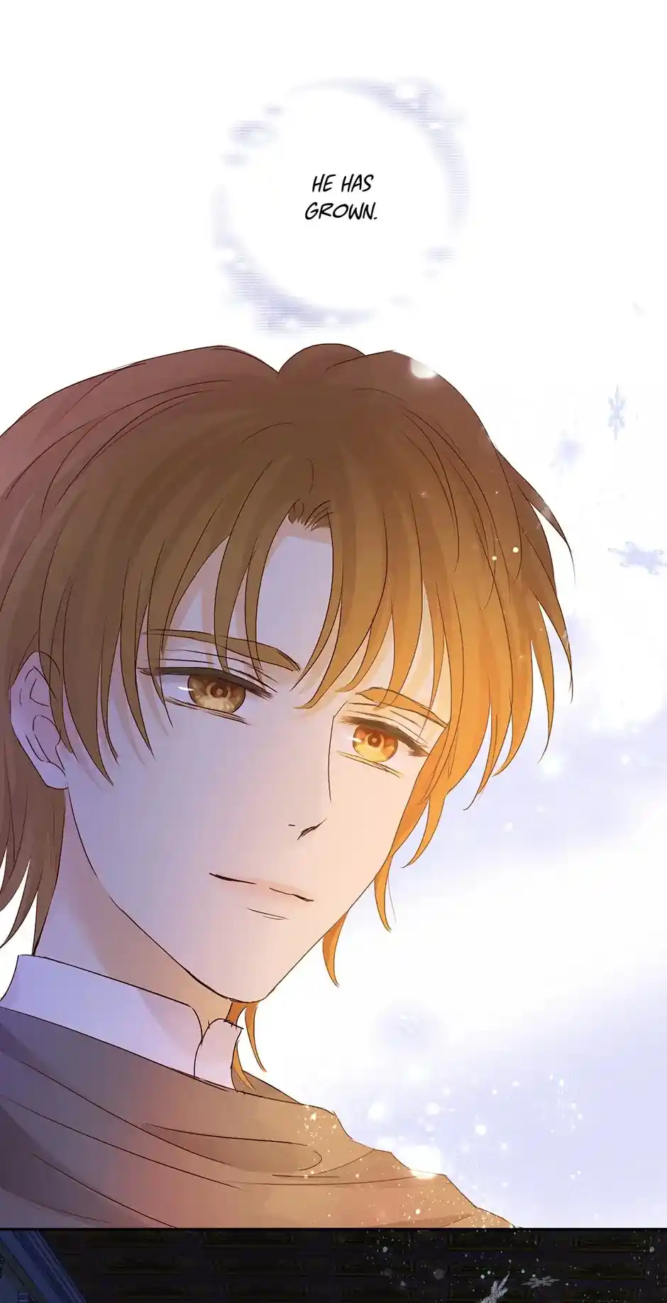 The Song Of Theodor Chapter 118