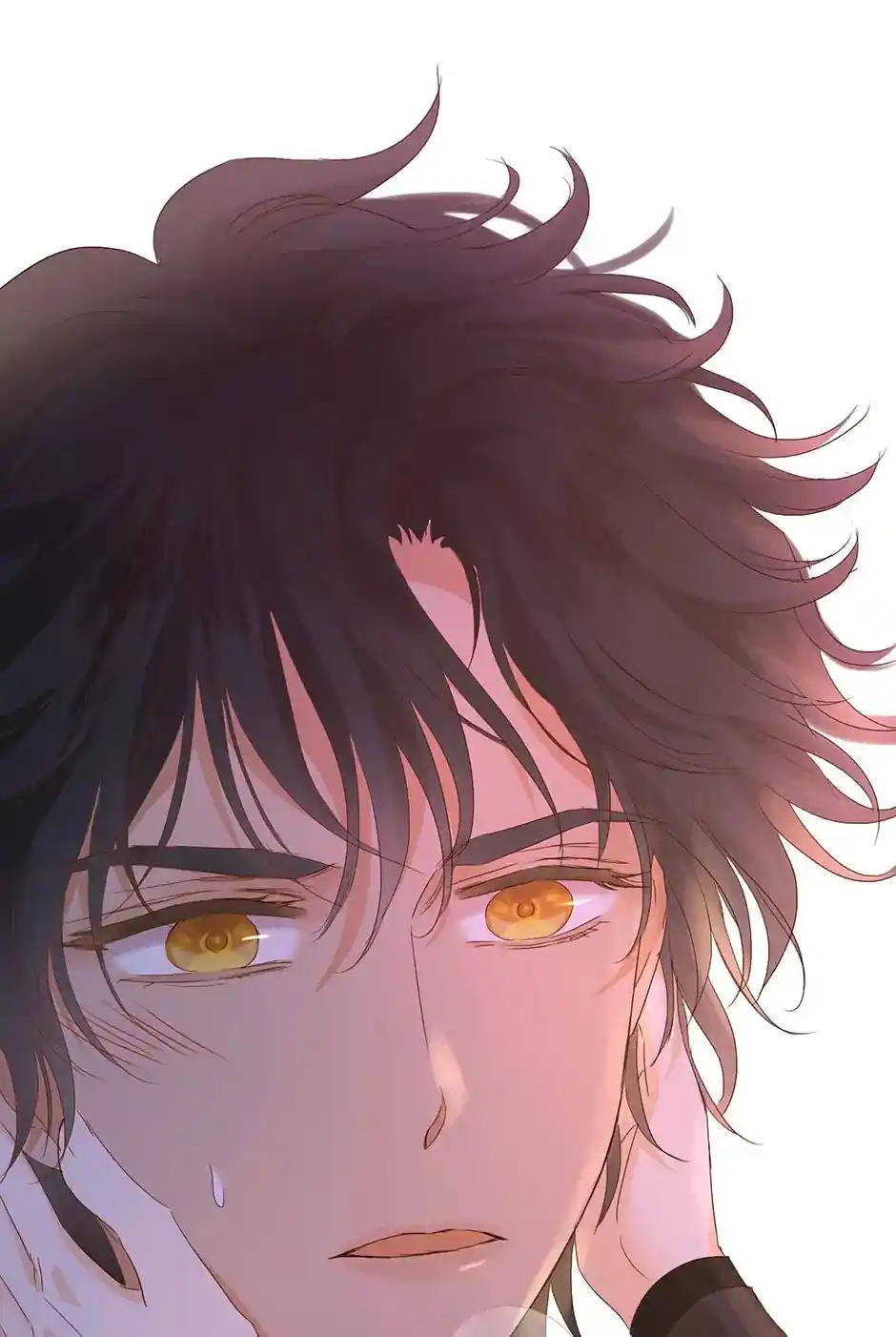 The Song Of Theodor Chapter 141