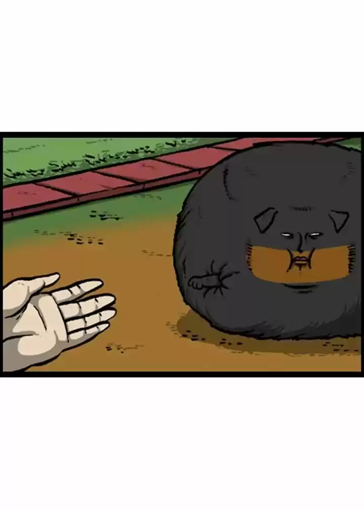 The Sound of Your Heart 135