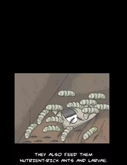 The Sound of Your Heart 166