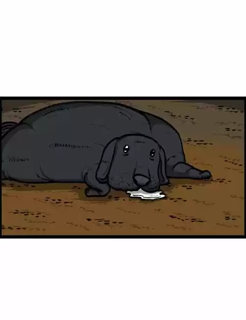 The Sound of Your Heart 191