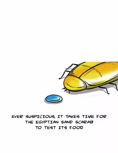 The Sound of Your Heart 193