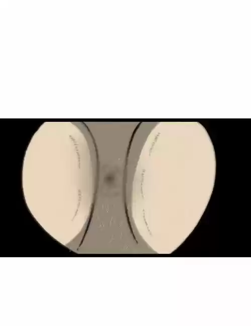 The Sound of Your Heart 200