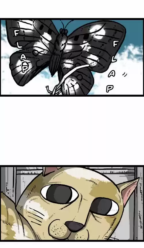 The Sound of Your Heart 204