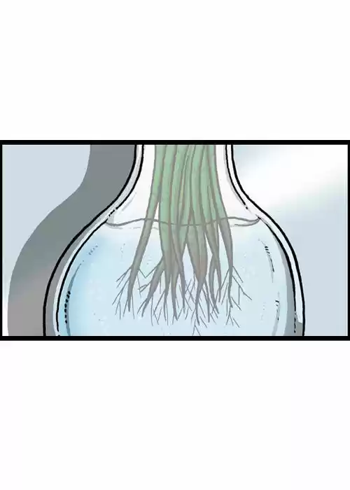 The Sound of Your Heart 206