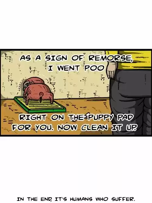 The Sound of Your Heart 224