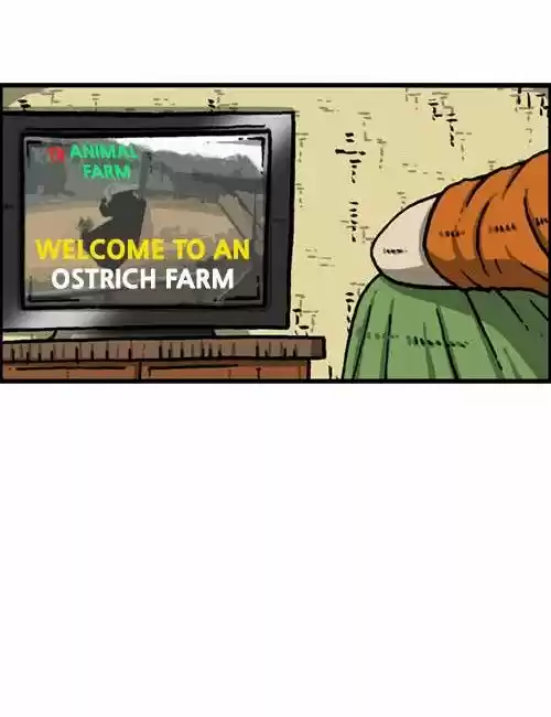 The Sound of Your Heart 245