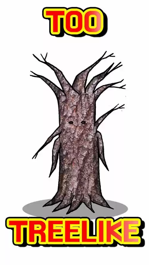 The Sound of Your Heart 248