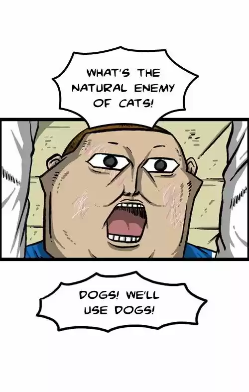 The Sound of Your Heart 289