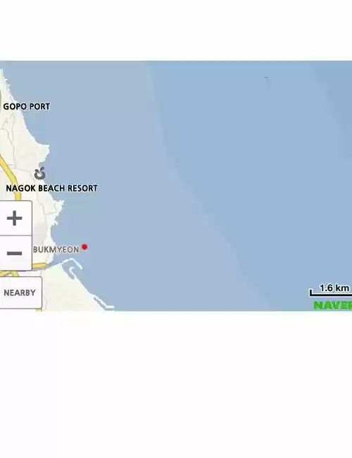 The Sound of Your Heart 294