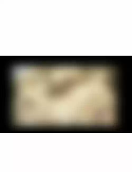 The Sound of Your Heart 296