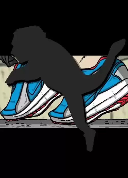 The Sound of Your Heart 334