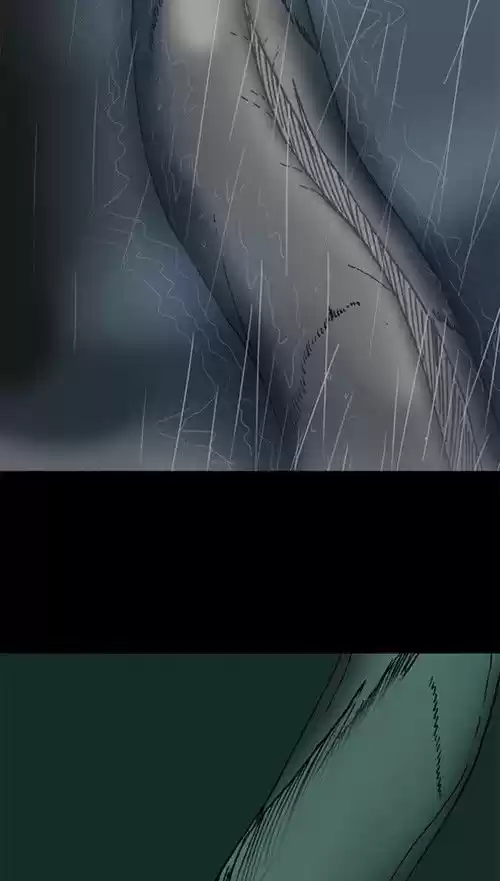 The Sound of Your Heart 342