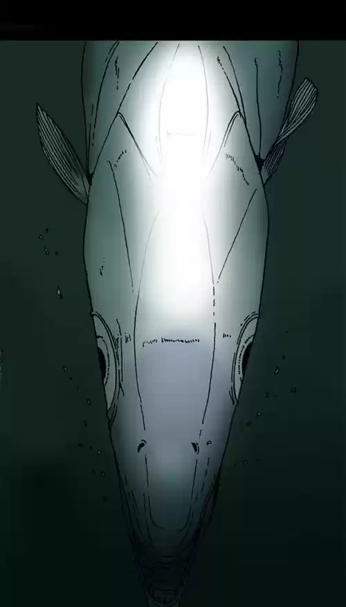 The Sound of Your Heart 342