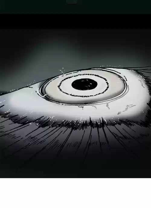 The Sound of Your Heart 342