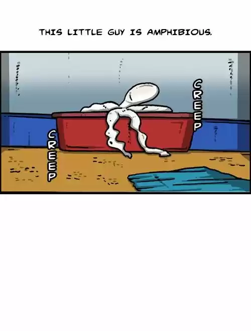 The Sound of Your Heart 349