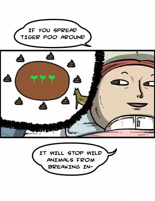 The Sound of Your Heart 366