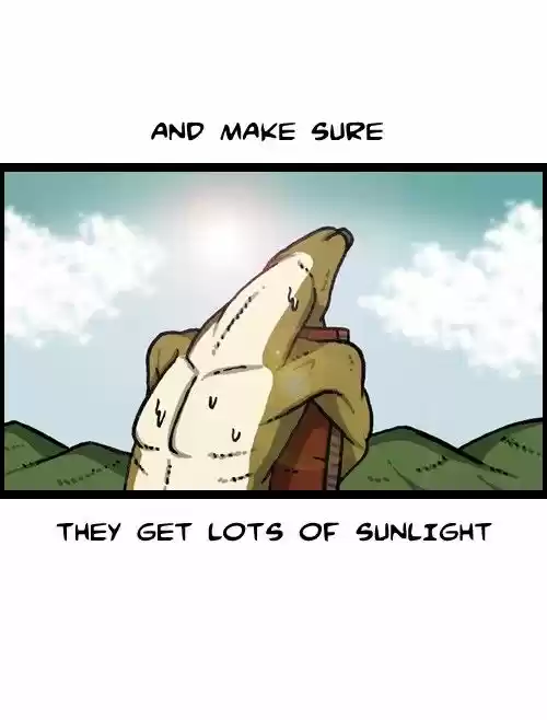 The Sound of Your Heart 366