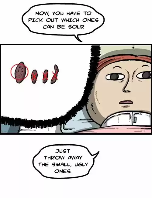 The Sound of Your Heart 366