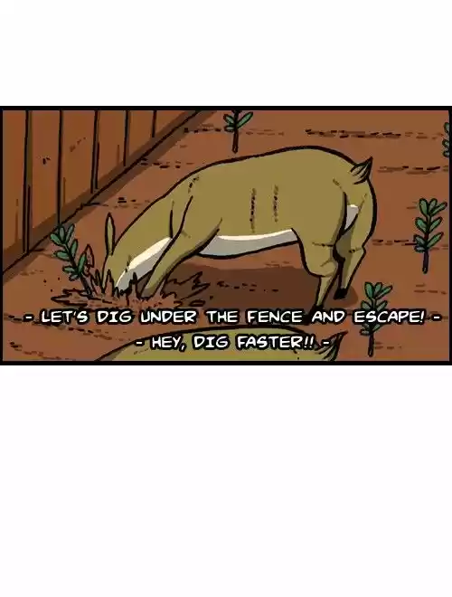 The Sound of Your Heart 366