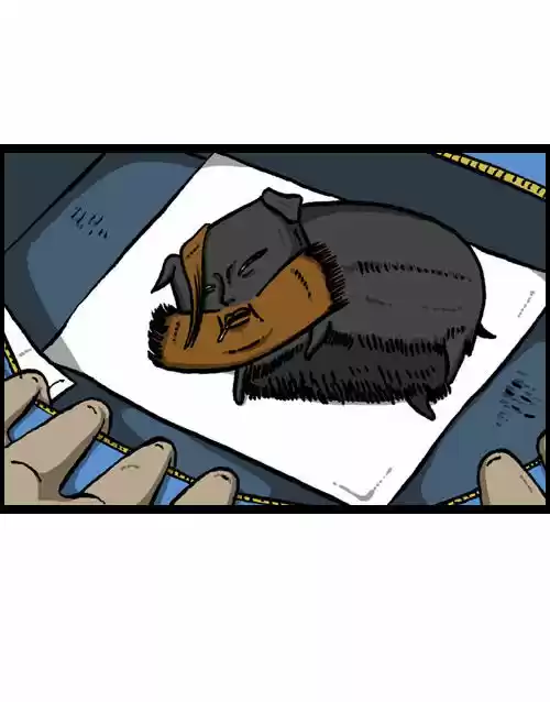 The Sound of Your Heart 72