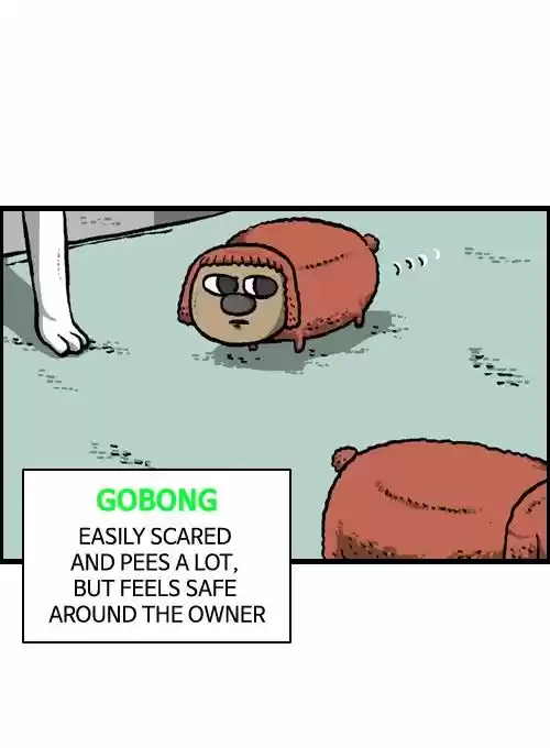 The Sound of Your Heart 92