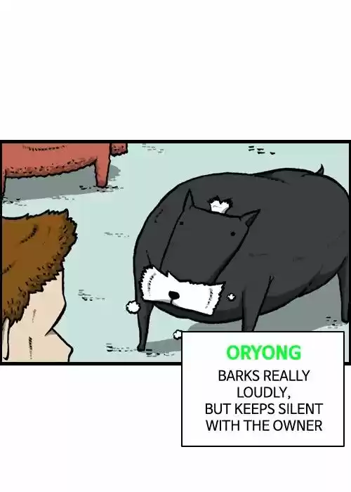 The Sound of Your Heart 92