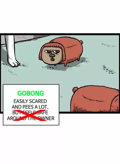 The Sound of Your Heart 92