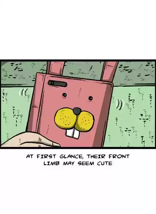 The Sound of Your Heart Chapter 425: