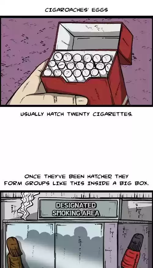 The Sound of Your Heart Chapter 427: