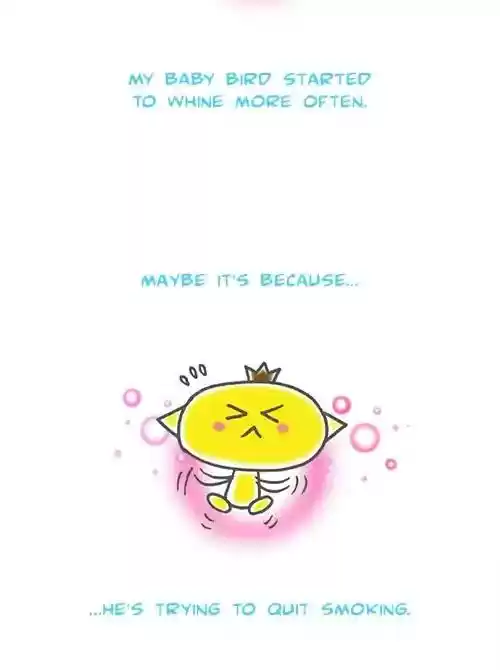 The Sound of Your Heart Chapter 463: