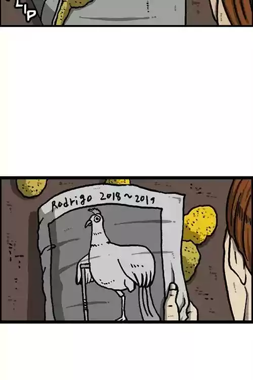 The Sound of Your Heart Chapter 481: