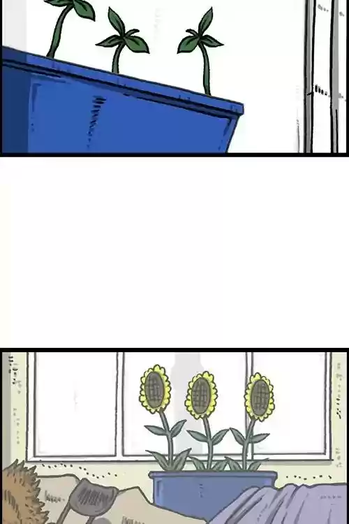 The Sound of Your Heart Chapter 492: