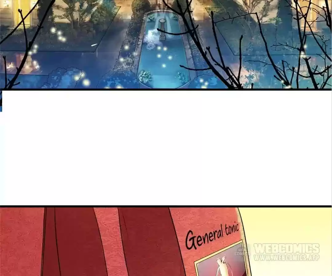 The Substitute Bride Chapter 113