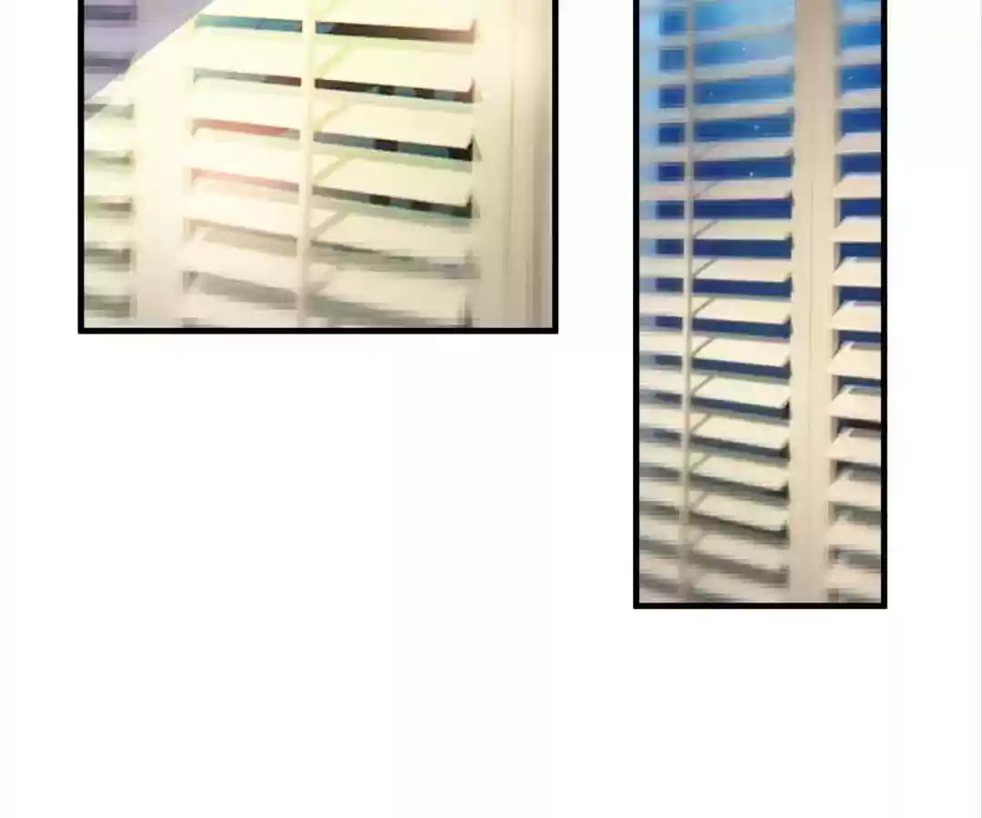 The Substitute Bride Chapter 12