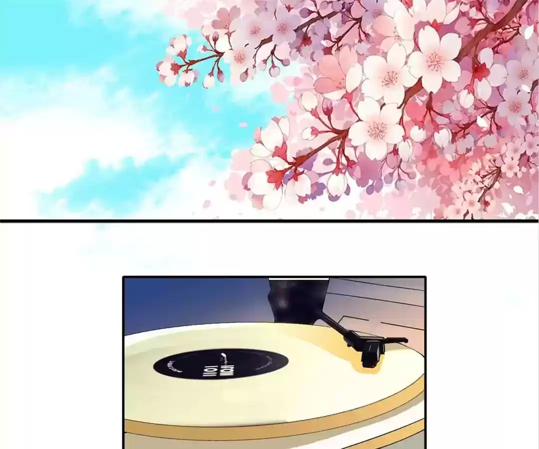 The Substitute Bride Chapter 135