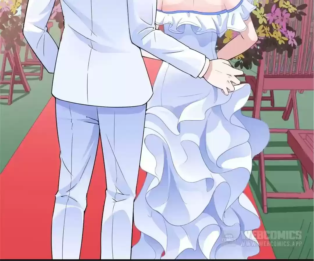 The Substitute Bride Chapter 135