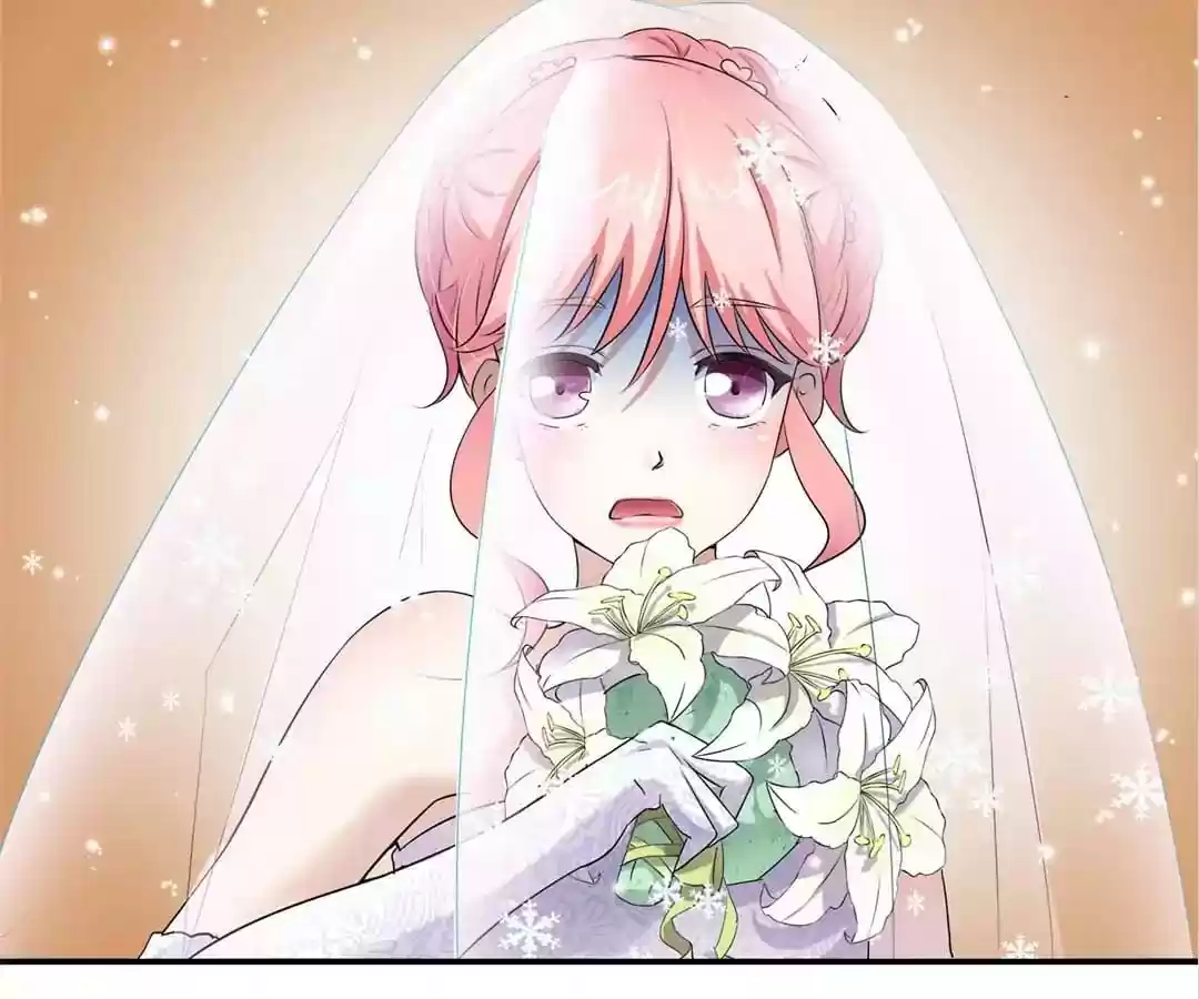 The Substitute Bride Chapter 2