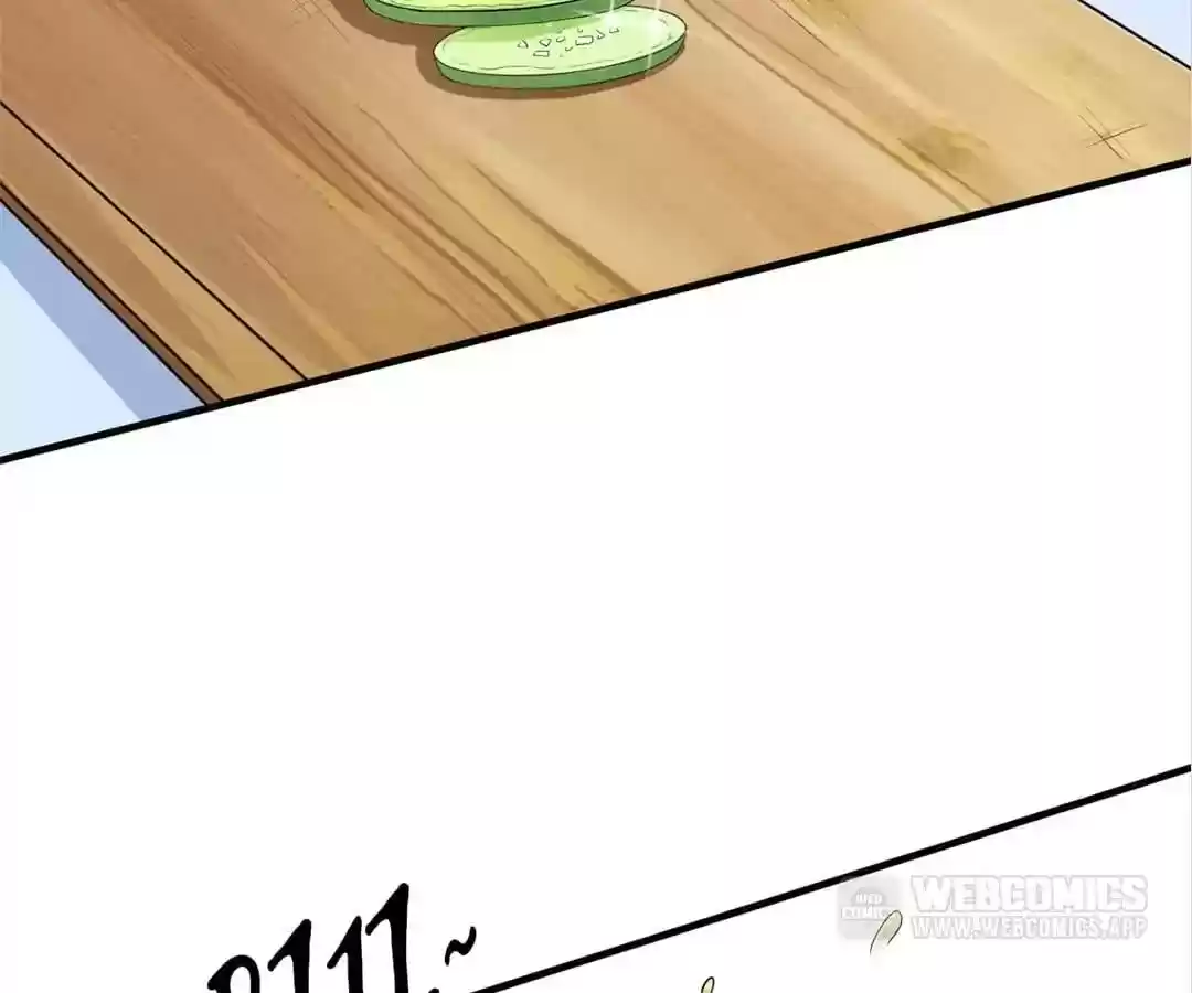 The Substitute Bride Chapter 20